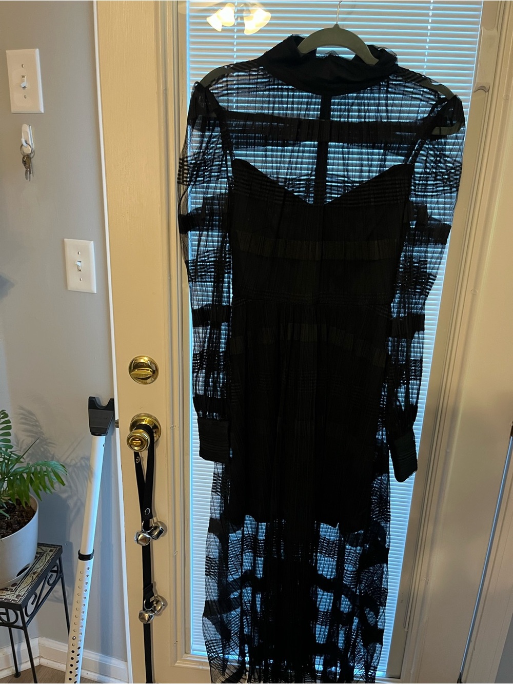 Jewel Badgley Mischka Black Sheer Long-Sleeve Pleated Maxi Dress